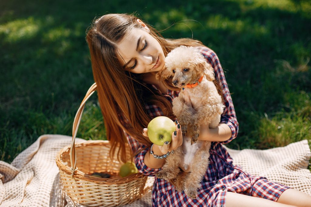 Dog owner holding an apple to feed instead of juice