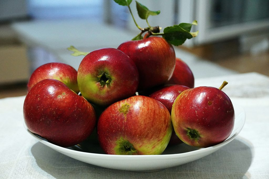 guinea pigs eat apples green garden