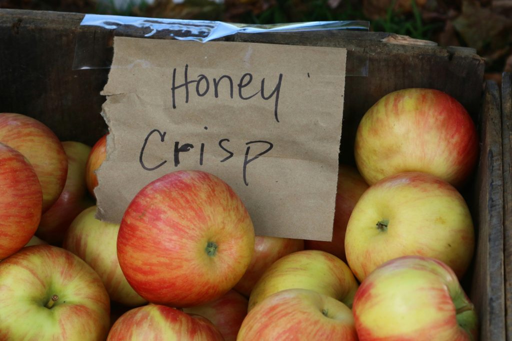 “Nutrition facts chart of Honeycrisp apple calories and vitamins”
“