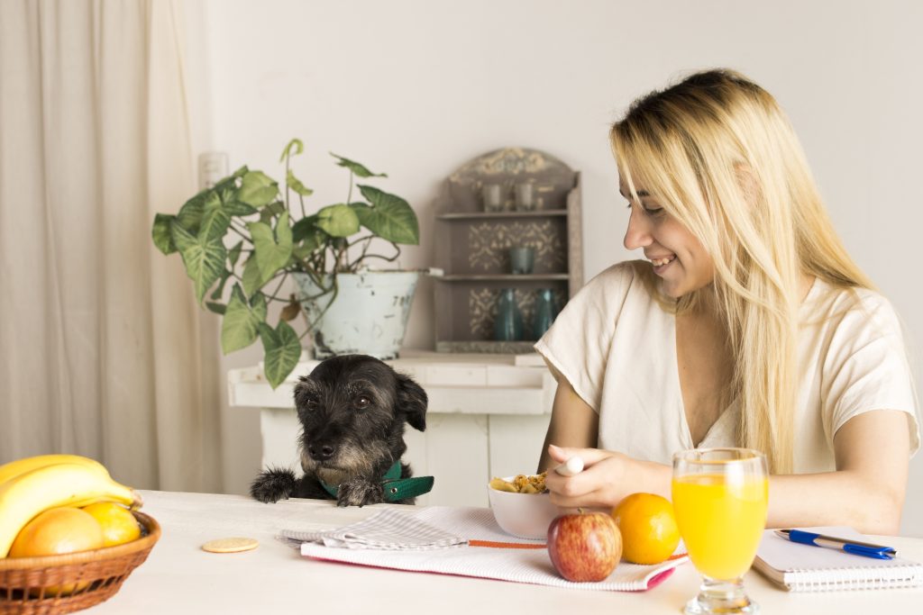 girl having breakfast with a dog and sharing an apple and apple juice with black puppy