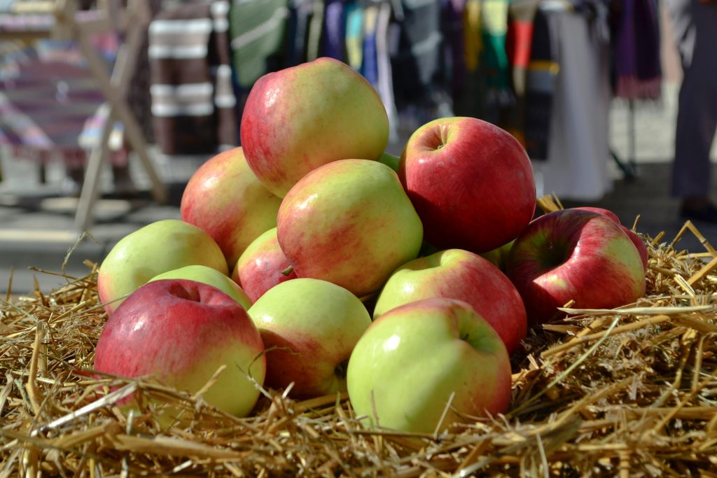 Red green apples bearded dragon eat